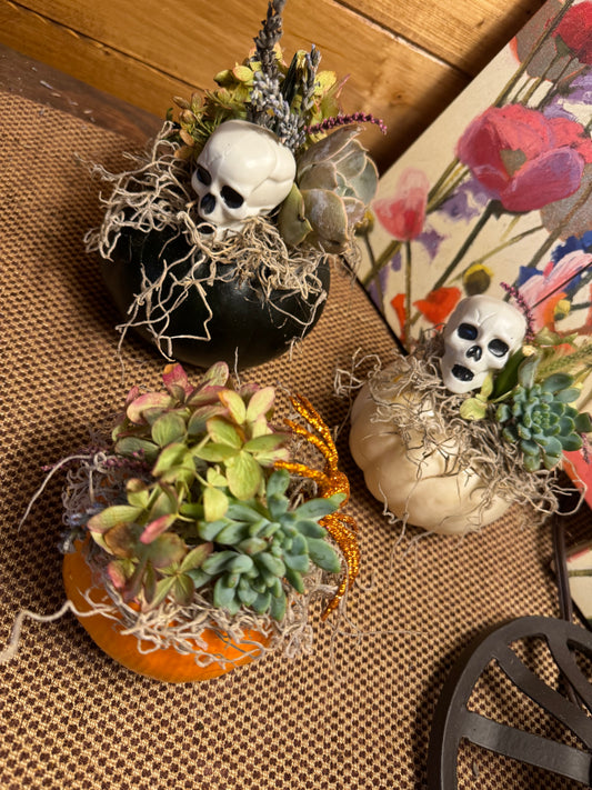 Halloween Decorated Baby Pumpkin